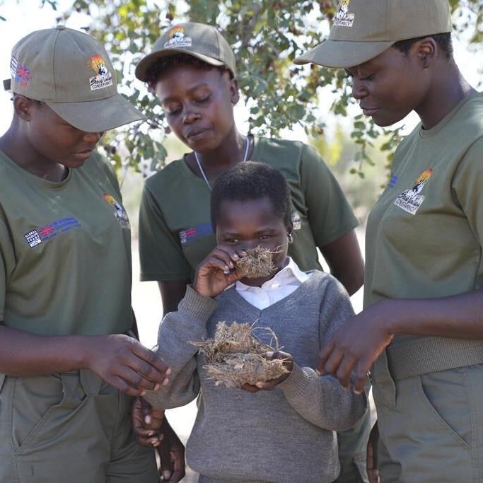 In Zimbabwe, schoolchildren face threats from animals. Now they are learning how to spot the dangers